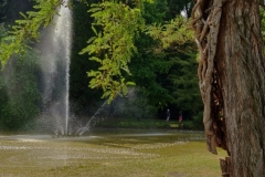 Lovely Kurpark in Bad Bellingen